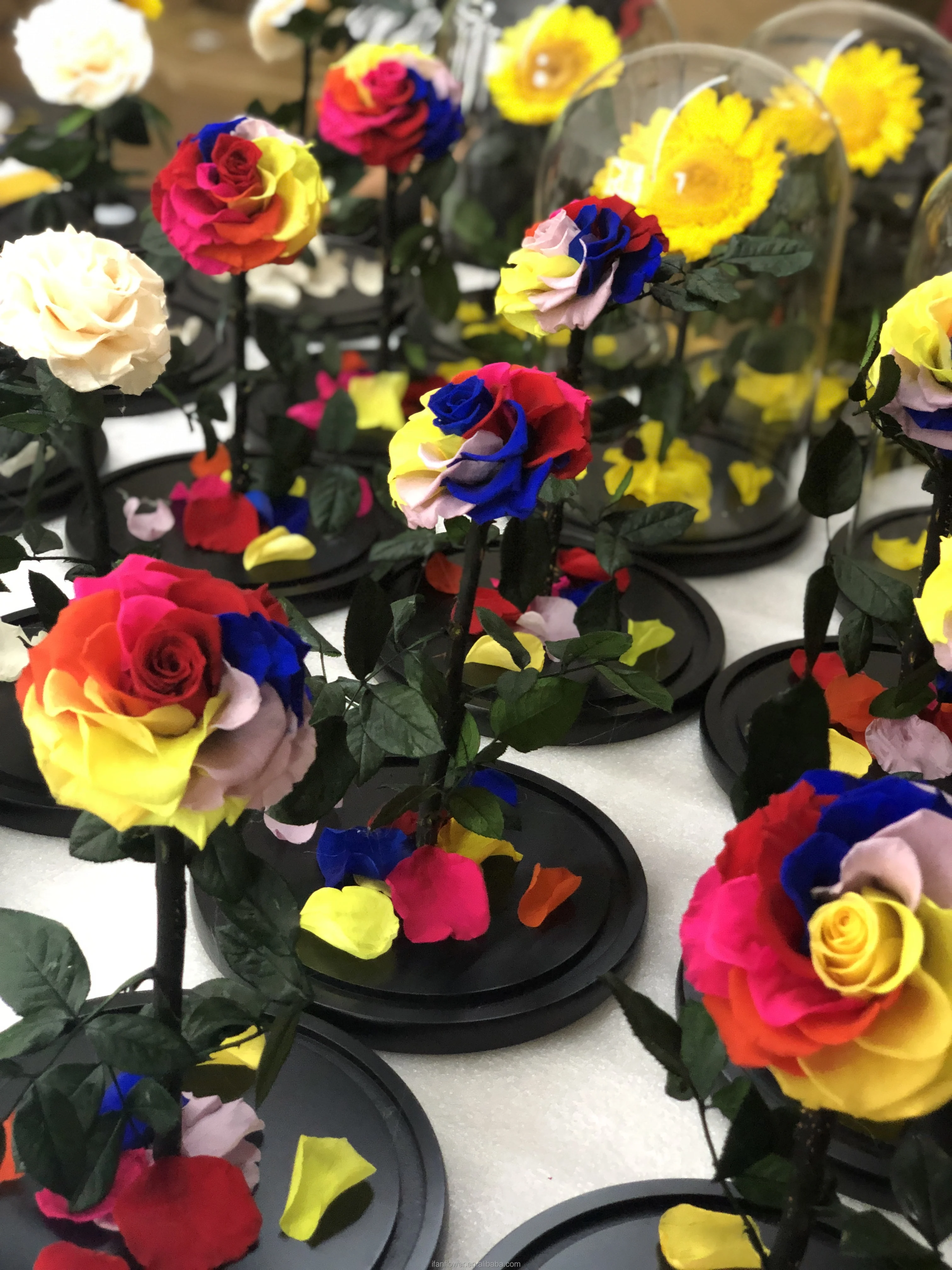 2021 Preserved flower in glass long life rose wholesale dried flowers preserved orchids preserved flowers