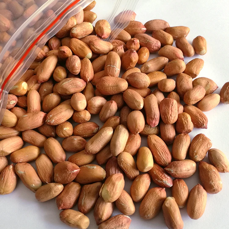 Good quality Raw Peanuts Kernel healthy food
