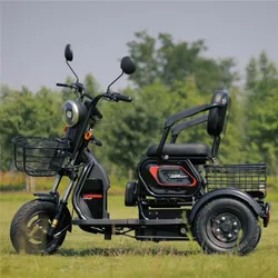 Электрический трехколесный велосипед для пожилых людей с ограниченными возможностями/пассажирский трехколесный велосипед/Электрический рикша 500 Вт