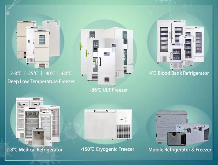 Malinmaus LN2 Gas phase tank laboratory use large capacity biobank liquid nitrogen container