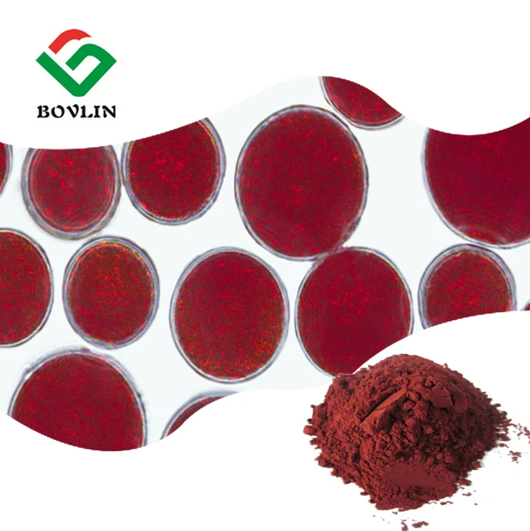 Natural Haematococcus Pluvialis Extract 4% Astaxanthin Powder