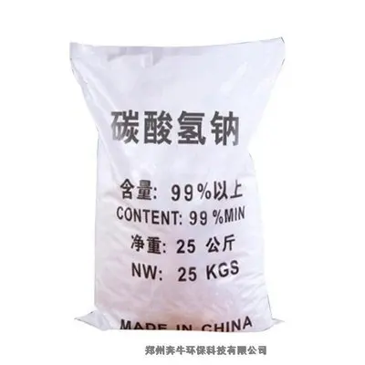 Factory supply Sodium Bicarbonate  baking soda  99%min CAS 144-55-8