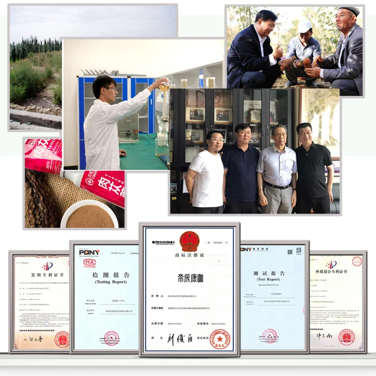 OEM Cistanche Tubulosa Extract Natural Slimming Steamed  Fertility Detox Tea Natural Supplements For Women