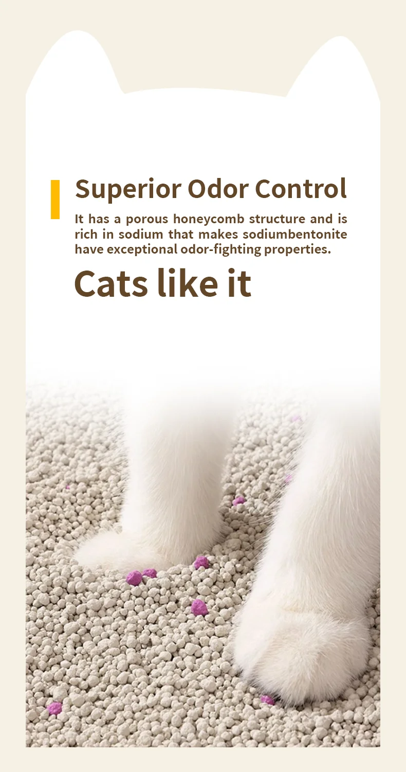 Competitive Priced Latest Multiple Shapes Bentonite Cat Litter Sand Diverse Choice for Cat Owners