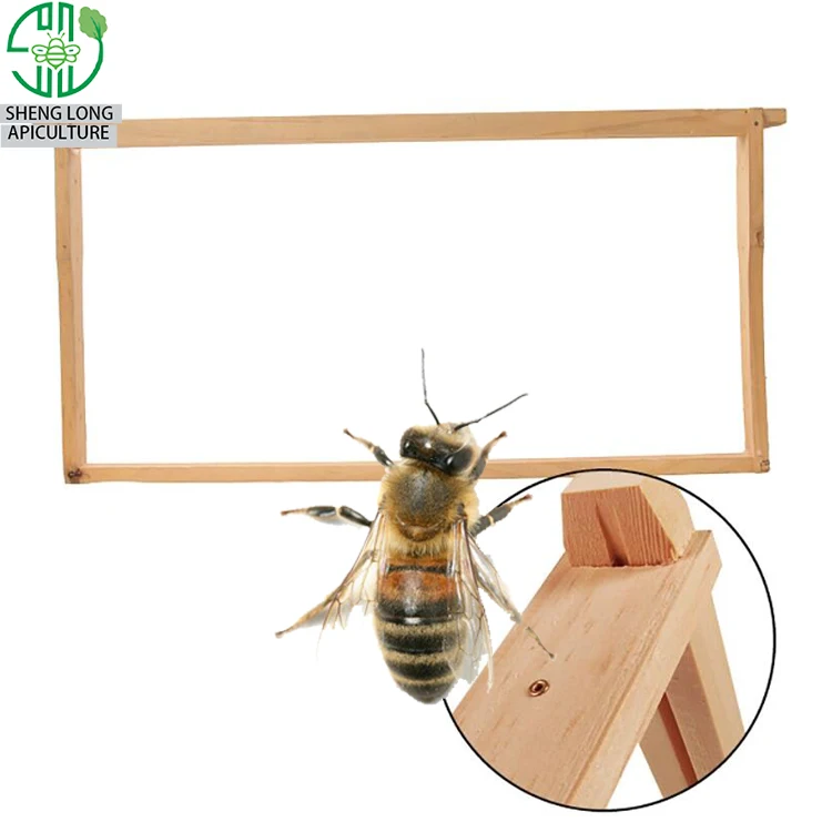 
2019 Henan beehive accessories factory directly supply all styles wood bee hive frame 