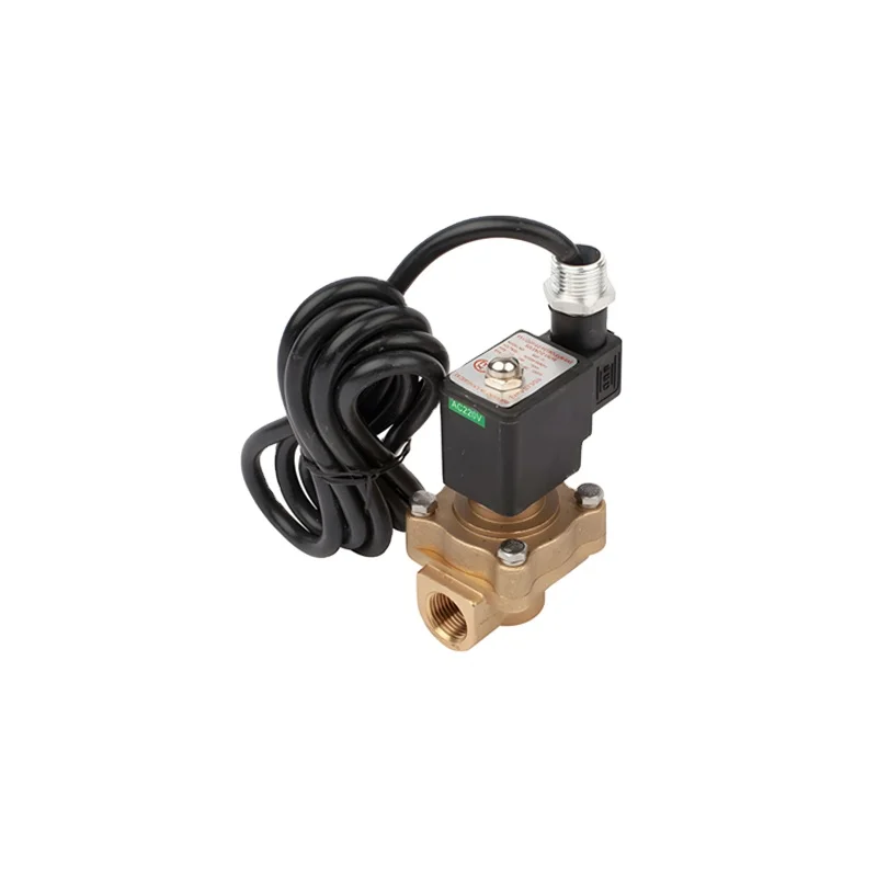 LPG AC220V& DC12V/24V Quality and Convenient Oil solenoid Valve Fuel solenoid valve Bidirectional solenoid valve