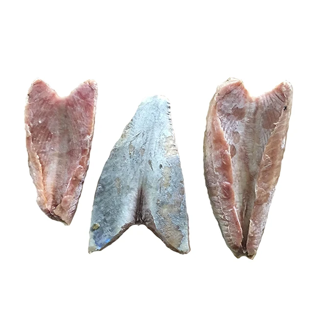 Fresh Seafrozen Whole Bigeye Tuna Fish