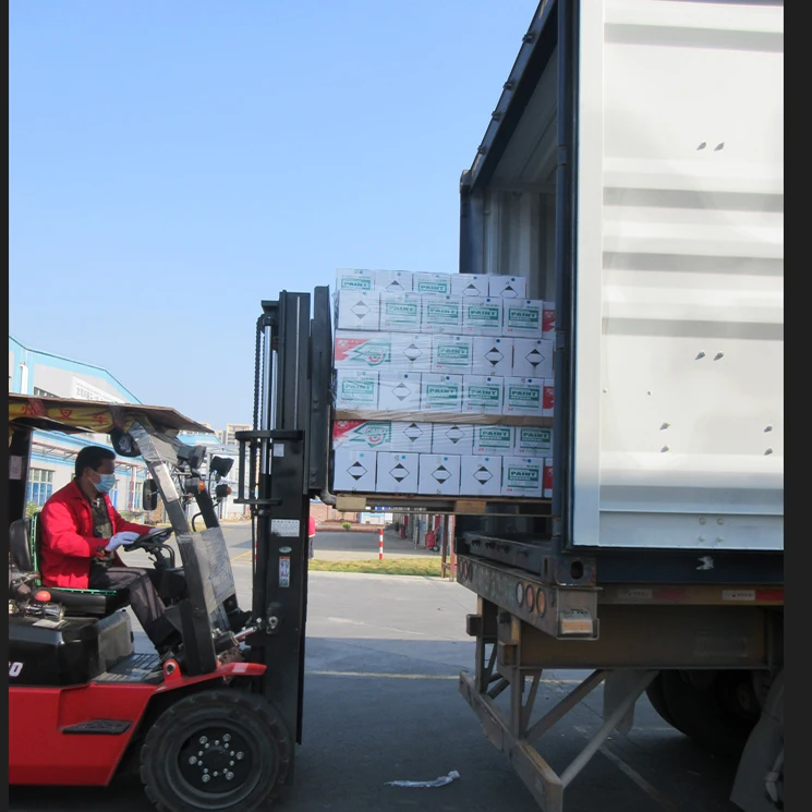 Factory Price Strong Auto Carb And Choke Car Cleaning Sprays Carburetor Cleaner 450ml