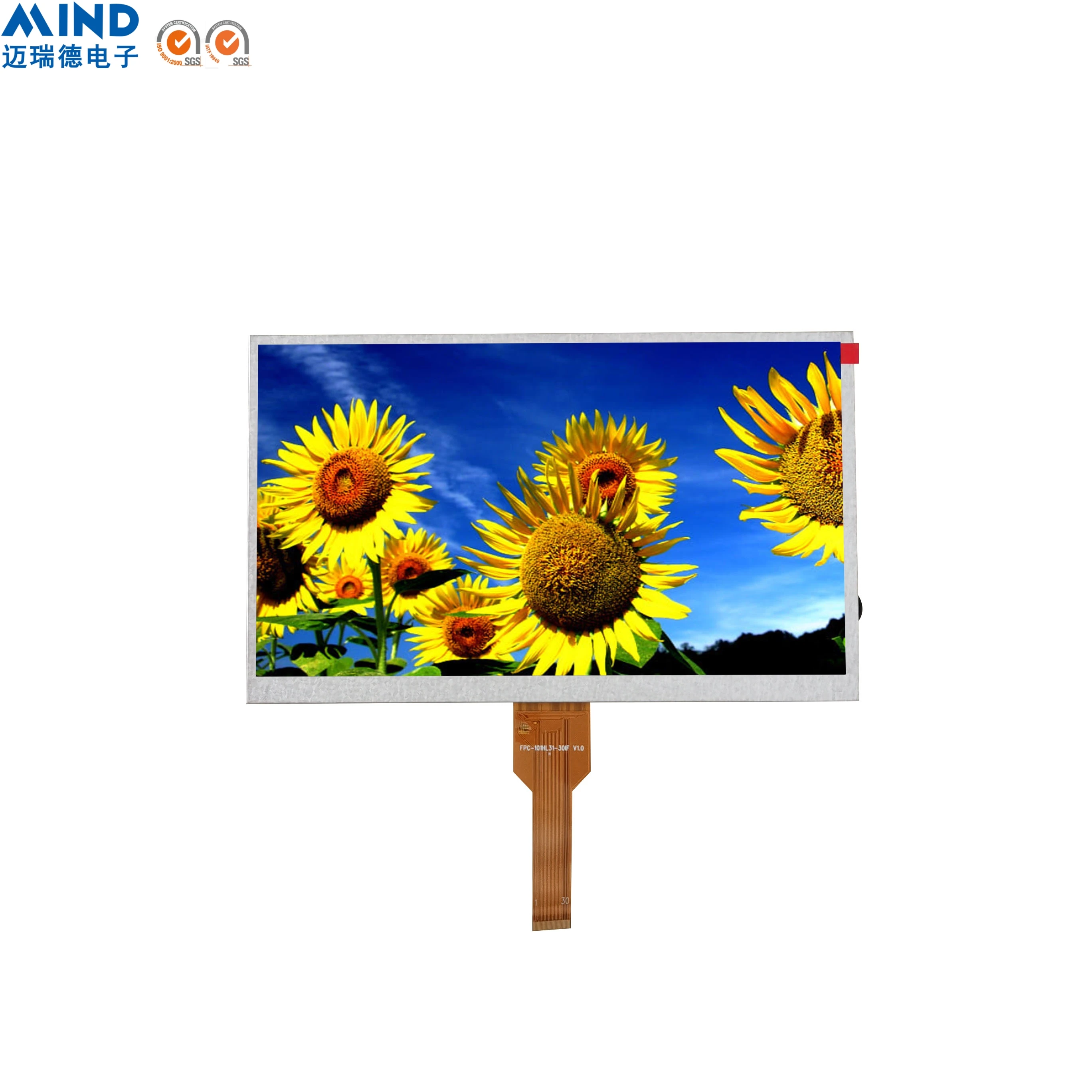 MIND Customized 10.1 inch 16.7M full color IPS Screen TFT LCD ODM OEM MIPI Interface liquid crystal display LCM module