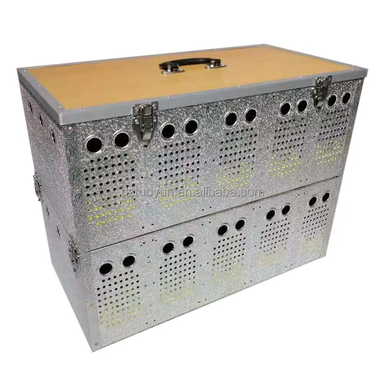 TUOYUN Best Sell Cages Birds Racing Pigeon Transport Cage Carrier Pigeons For Sale