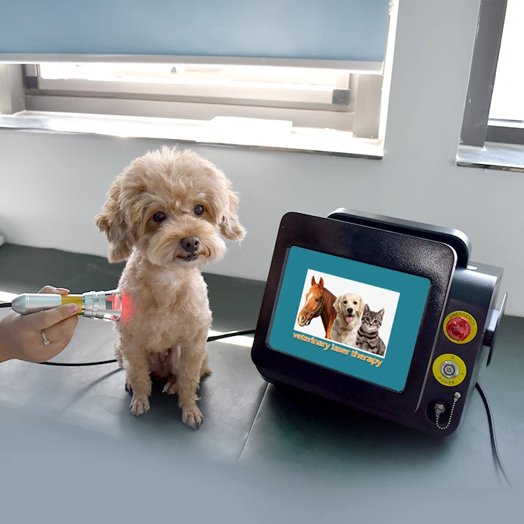 Veterinary Laser Class 4 30w Physiotherapy Equipement 980nm Diode Lazer Surgical