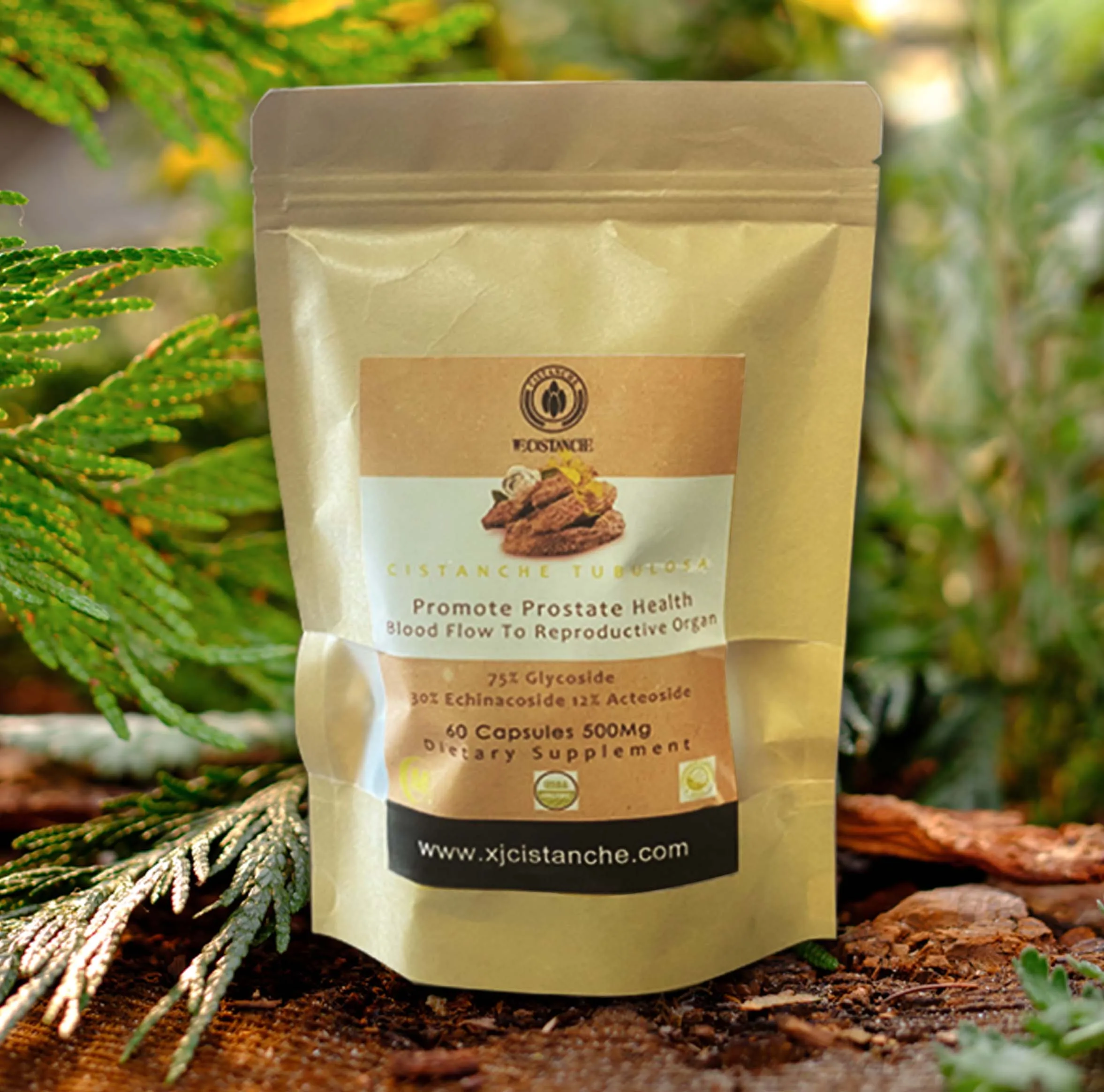 Herbal Cistanche Prostate Supplement 75% Total Glycosides 30% Echinacoside 12% Acteoside Cistanche Herbal Supplement