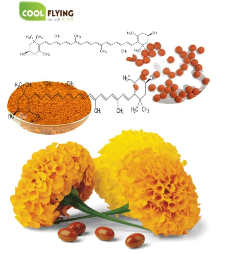 
90% Lutein powder for protected eyesight Marigold flower Extract Marigold Extract 