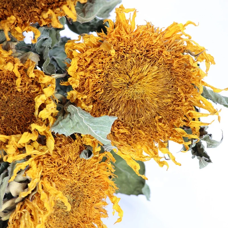 Sun flower sunflower bouquet dried flowers for Nordic style ins home decoration living room decoration