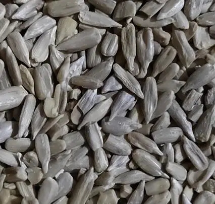 Cheap flower seeds Chinese sunflower seed kernel