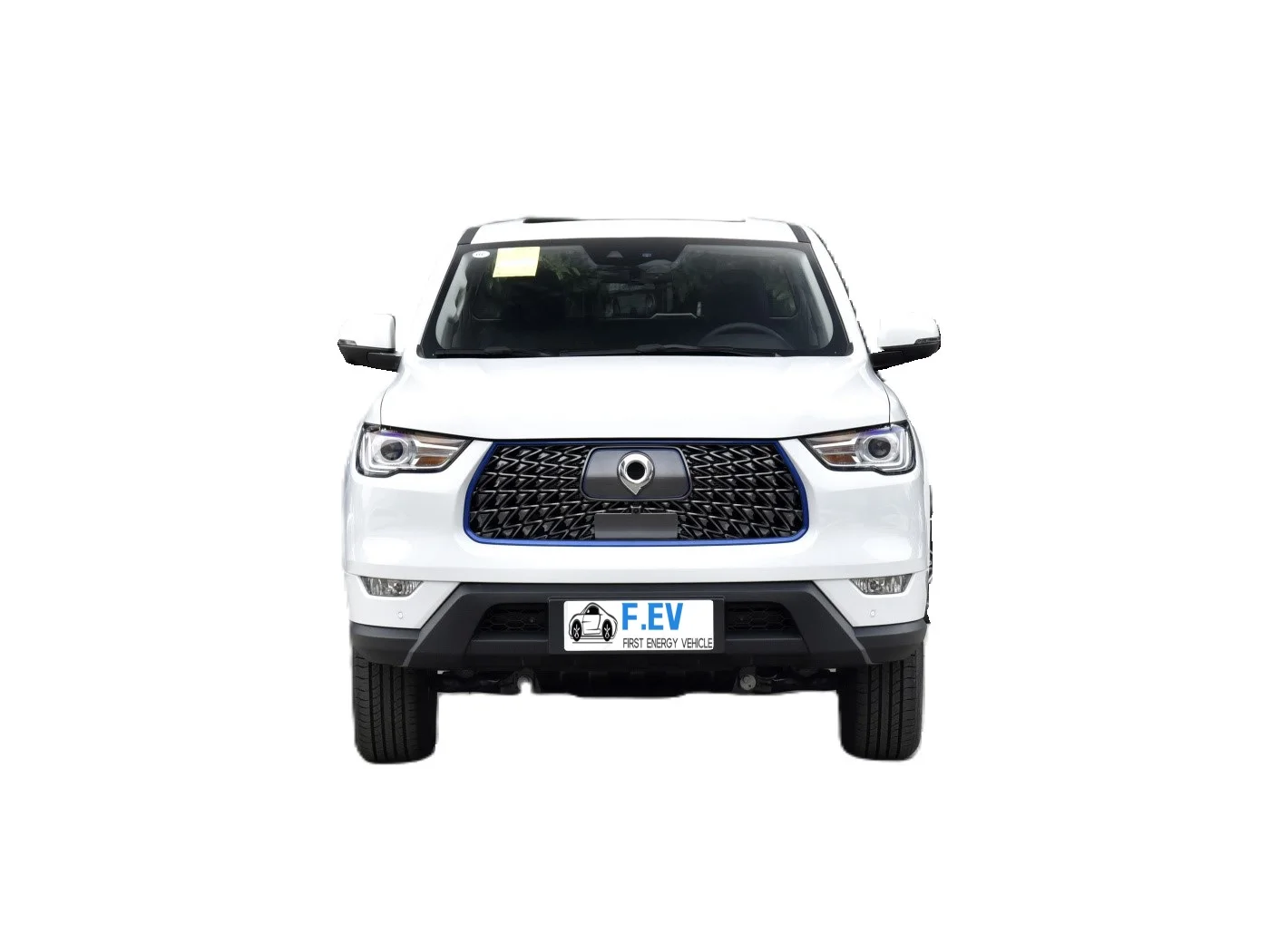 Pure Electric Pick Up Truck Great Wall Poer In Stock Great Wall New Energy Vehicle High Level EV Made In China Adult Truck