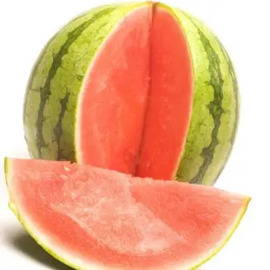 SX No.6 seedless watermelon seed/seeds for sale with good resistance