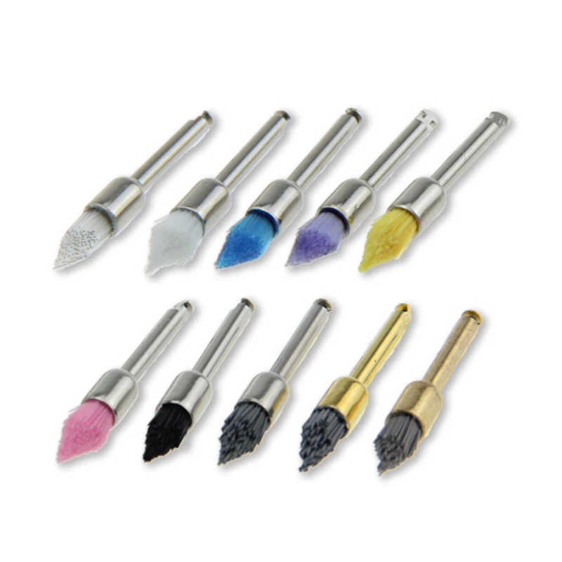 TA024 ZOGEAR Disposable dental tapered style prophy brush