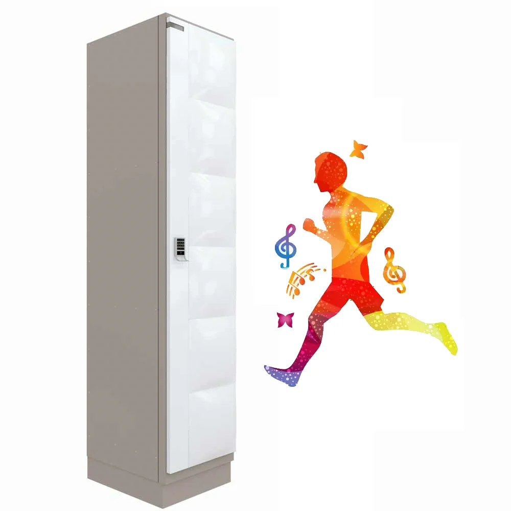 HOT SALE China Design intelligent parcel delivery electronic lock lockers