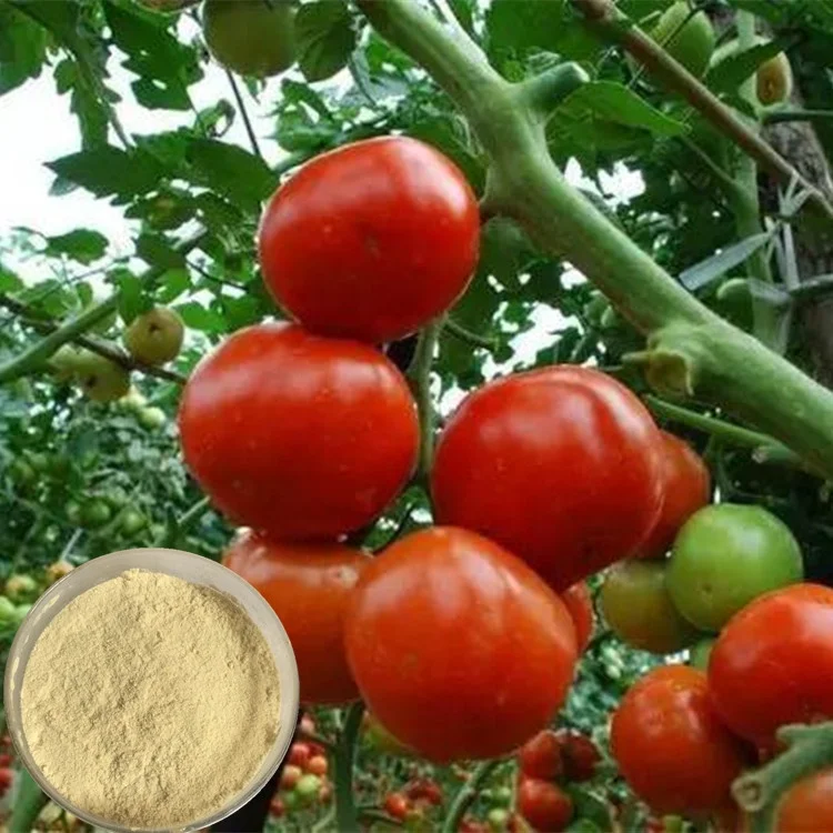 100% Water Soluble Amino Acid Chelated Boron Fertilizer