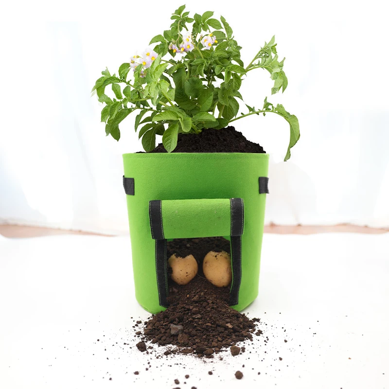 Free Samples 5 Pack 5 7 10 15 25 30 100 Gallon Felt Grow Bags 300G Thickened Felt Grow Pot with Handles