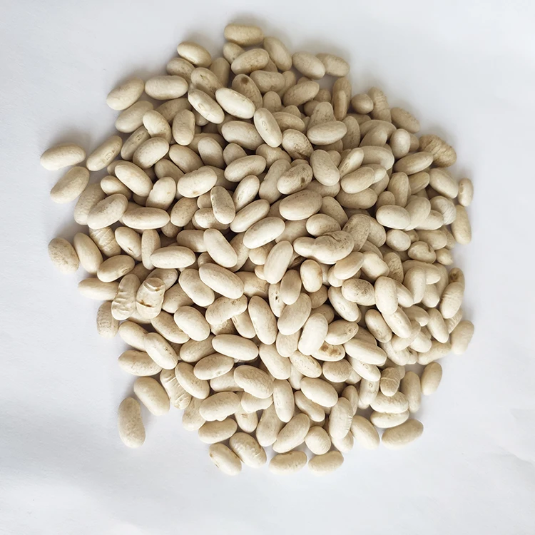 Wholesale Low Price Chinese Natural  Baishake White Kidney Beans