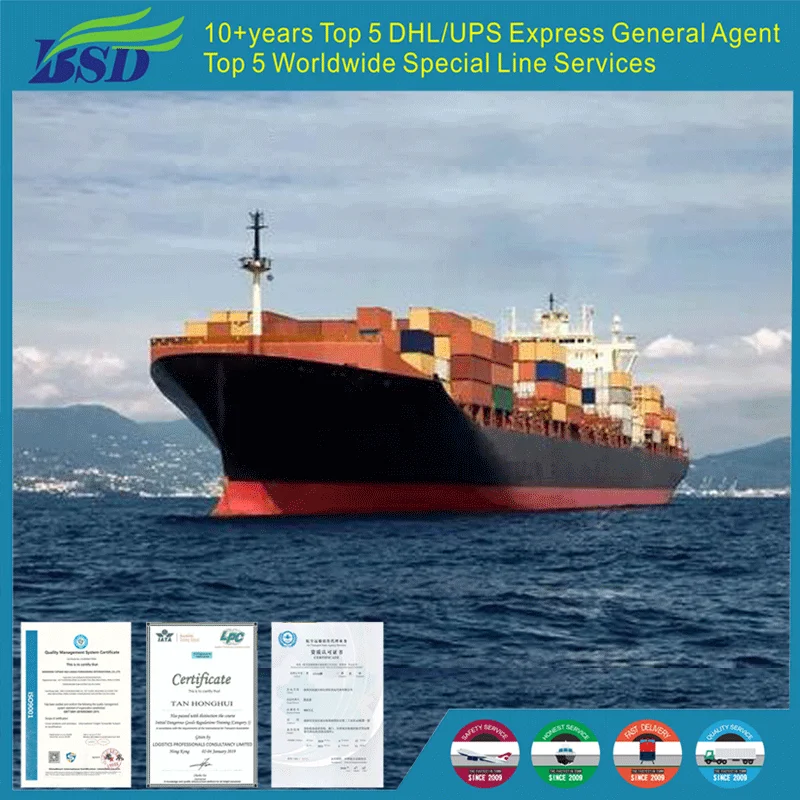 Professional Sea Freight Forwarder From China By Fast Shipping Competitive Price To Other Countries