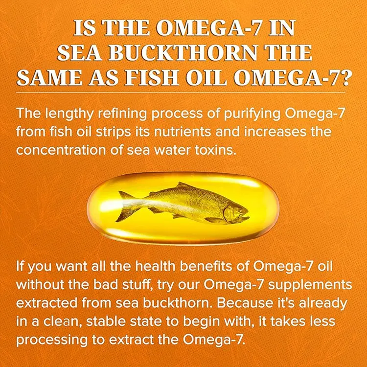 60 Day Supply Premium Organic Himalayan Sea Buckthorn Oil Supplement Omega-7 Softgels for Healthy Skin Hair Nails and Dryness