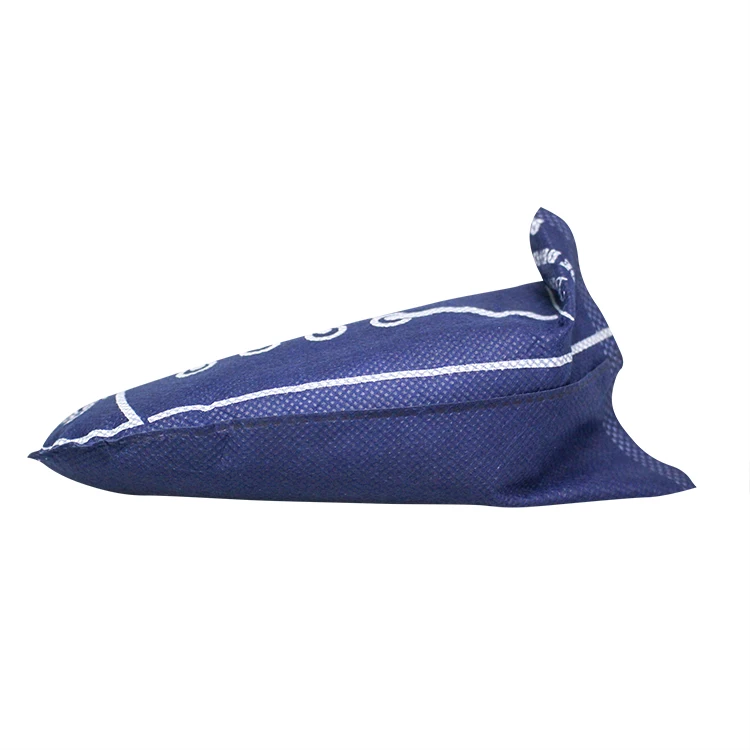 
Wholesale Activated Carbon Deodorizer 95g Purify Bag 