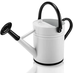 Cesun 1 Gallon Galvanized Zinc Metal Watering Can for Outdoor Black White