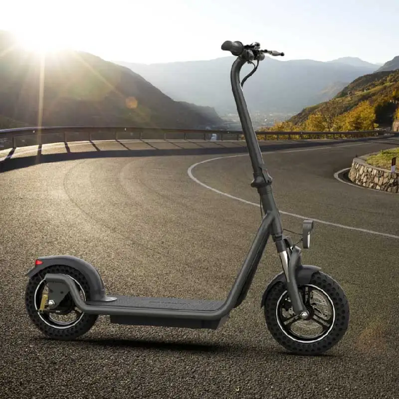 Tomoloo large off_road man 450w 12inches motor powerful fast adult folding electric scooters