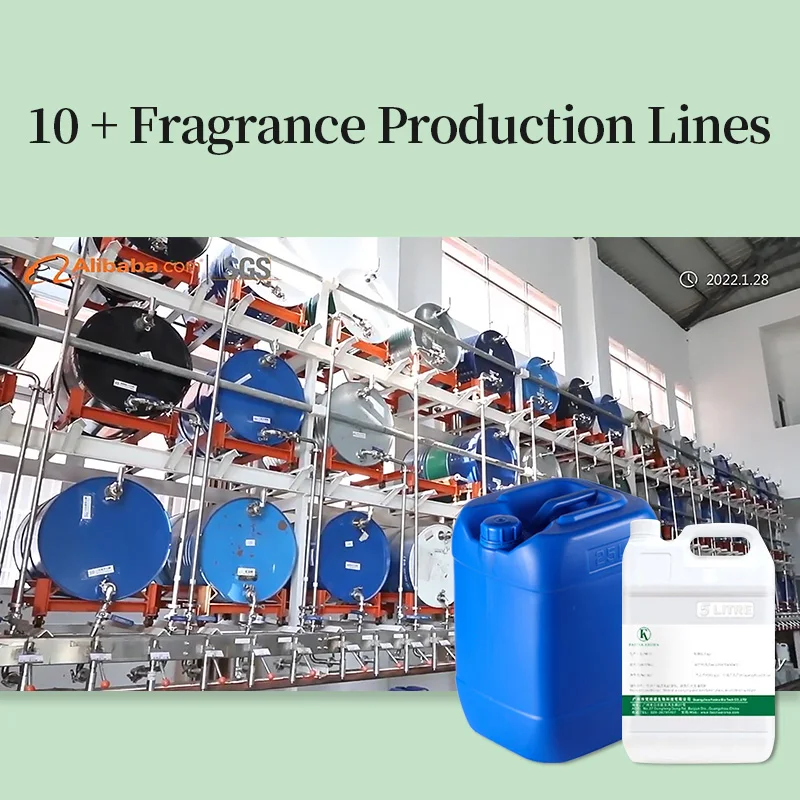 Wholesale Branded Perfume Fragrance Oil Long Lasting Oil Free Samples for Perfume Making