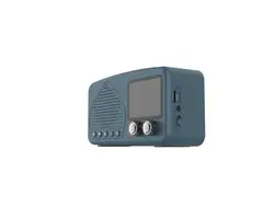 Smart Internet Radio with Fm Radio Function