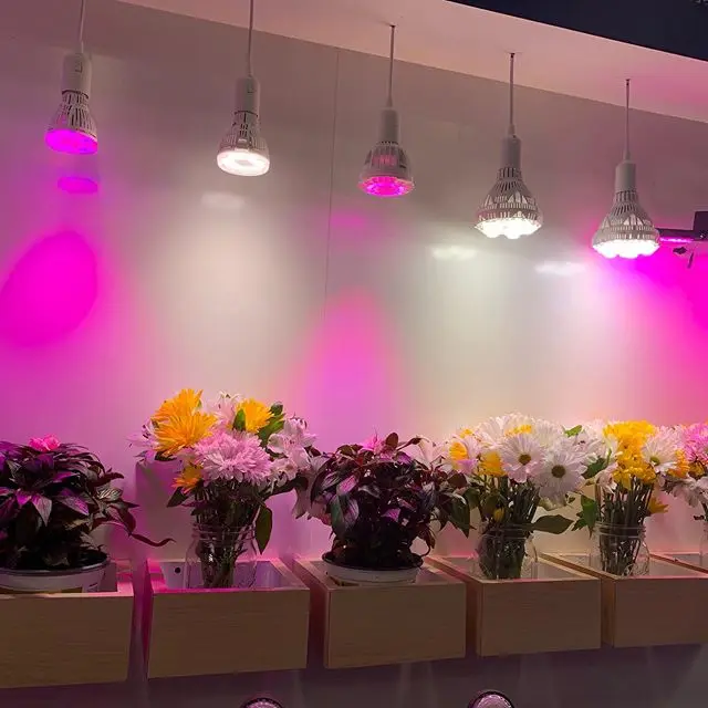 SANSI e27 230vac 36w led grow bulb for plant led for brocolli