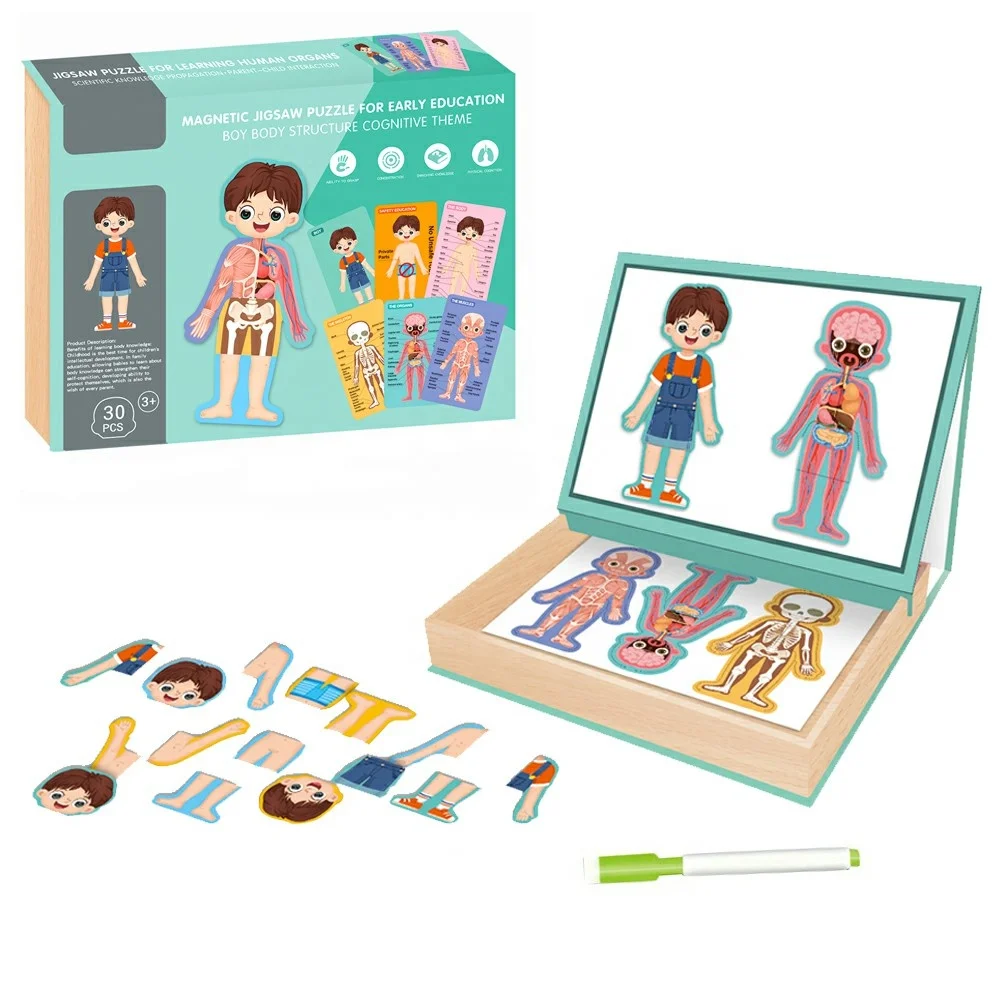 Human Body Toy Magnet Jigsaw Kids Toys Educational Puzzle with Painting Function