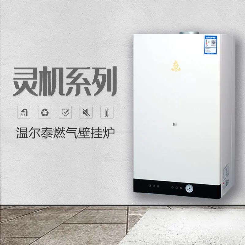 Hot Selling Geyser Water Heater ISO9001 20KW Wall Hung Gas Boiler