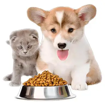 Outstanding Quality dog dried food Wide Varieties super premium pet food High Nutrition total health dog food