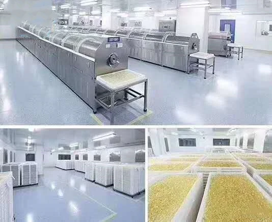 
GMP Certified OEM Fish Oil Softgel 