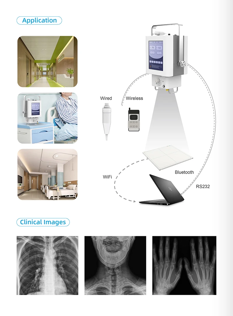 Ysenmed YSX050-G VET 5KW 100mA Portable veteriner x ray animals medical x ray for horse pets dr x ray system