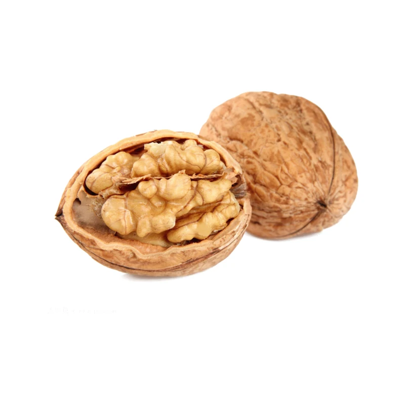 Синьцзян 185, бумажная оболочка, сырые грецкие орехи в оболочке, тонкий грецкий орех по низкой цене