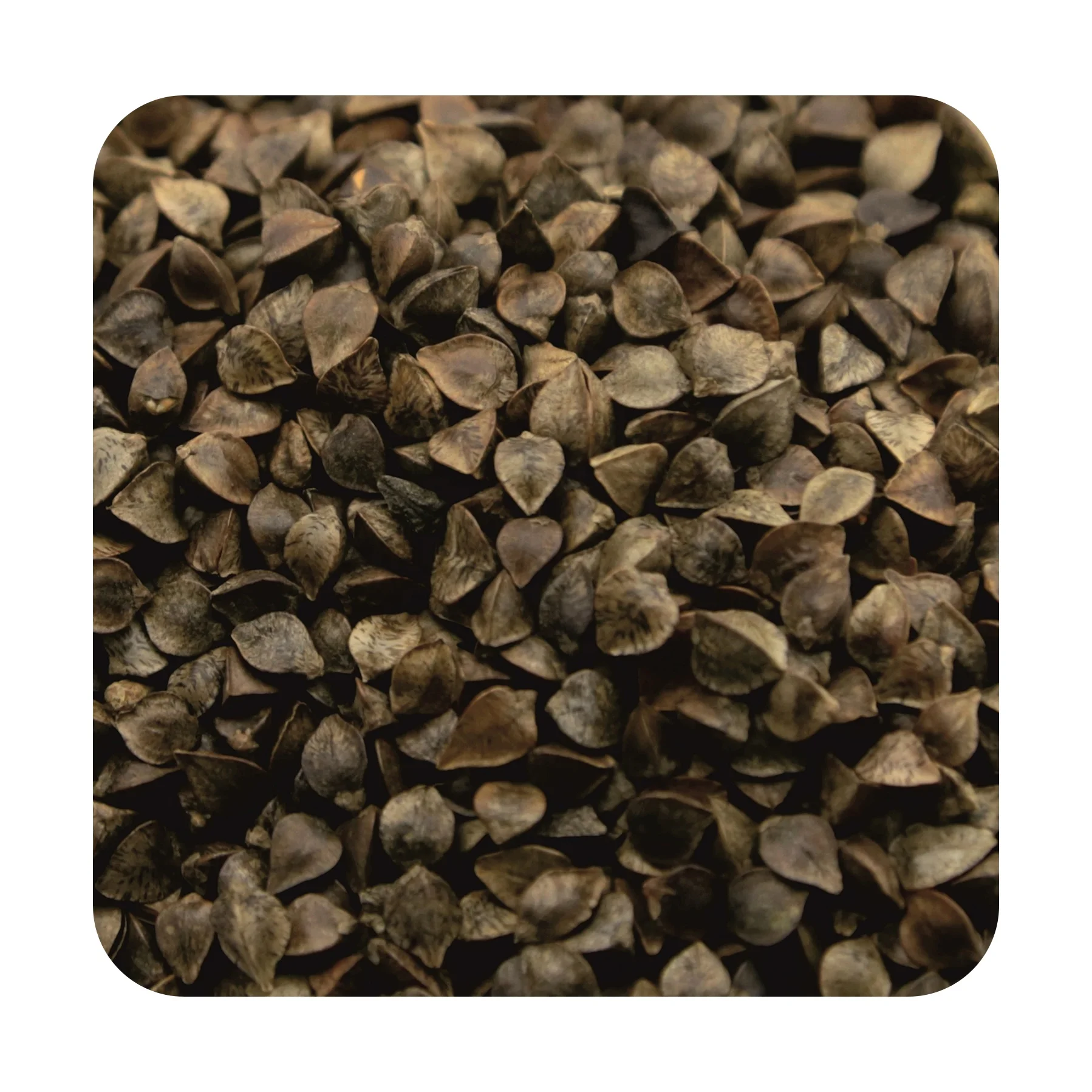 
High quality buckwheat 25/50 kg bags or in bulk, product of Russia 