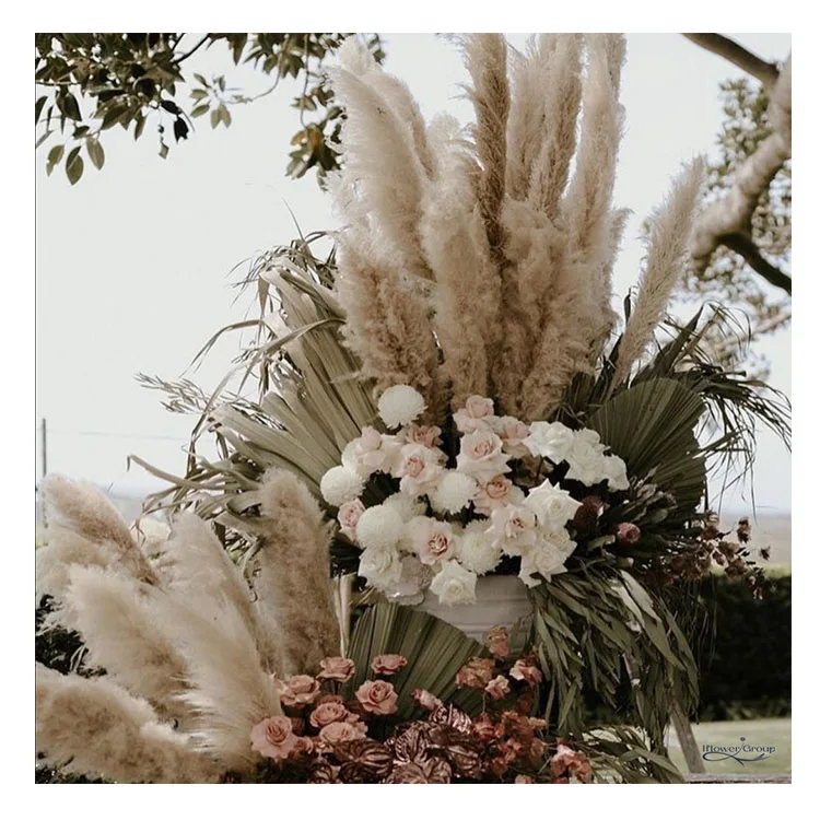 Pampas Grass 18K Goldennatural IFG консервированные цветы сушеные картонная коробка Giga День матери идеи подарка свадебные темы