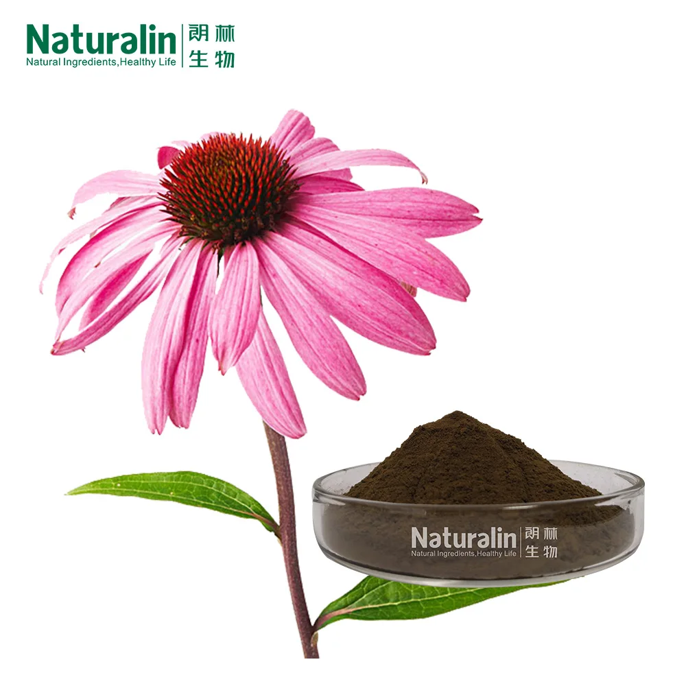 Naturalin Health Supplements  Echinacea purpurea (Linn.) Moench HPLC Detected Echinacea Herb Extract  Chicoric Acid