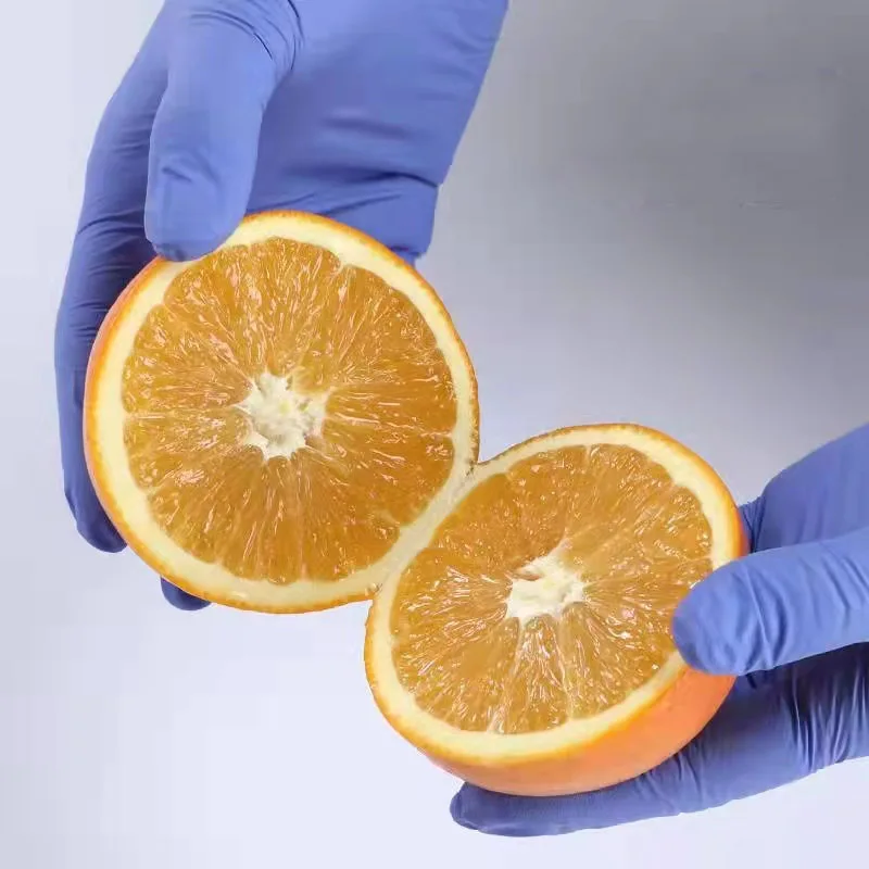 Best-selling manufacturer of tattoo beauty makeup powder free purple nitrile gloves