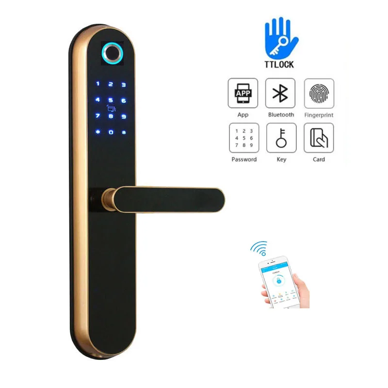 Factory price  ttlock app remote wifi ble electric smart security door lock