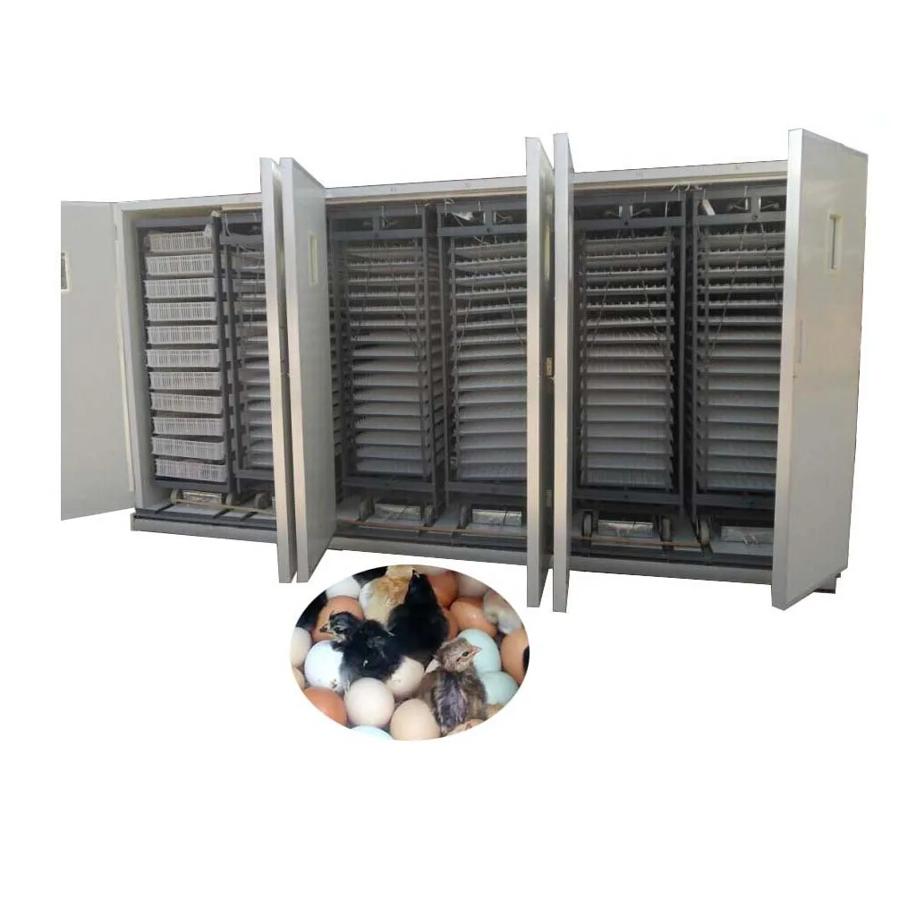 Полностью автоматический инкубатор для яиц на солнечной батарее 33792/инкубатор для куриц