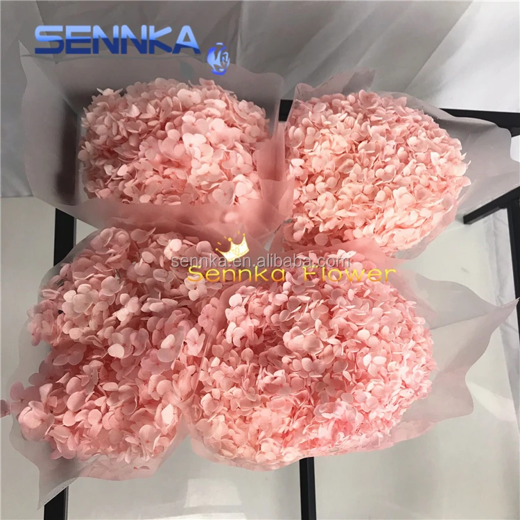Preserved Long Stem Hydrangea Flowers Cut Fresh Flower For Wedding