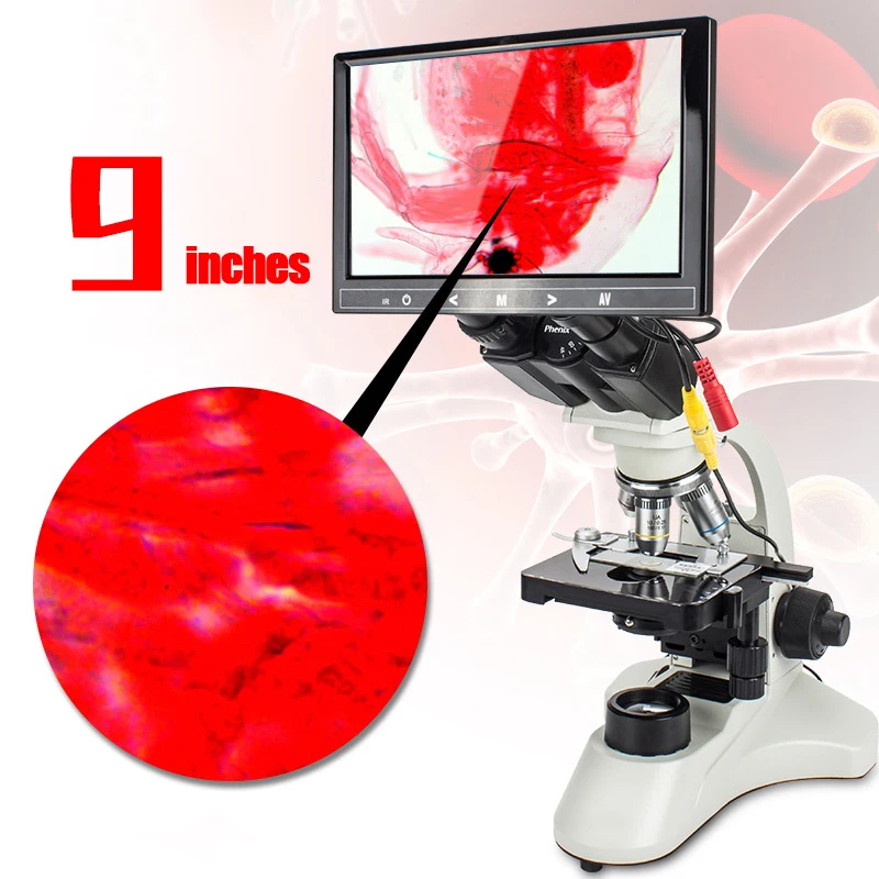 Factory Price Veterinary Equipment  Accurate Professional Portable Optical Electronic Microscope Digital Veterinary Microscope