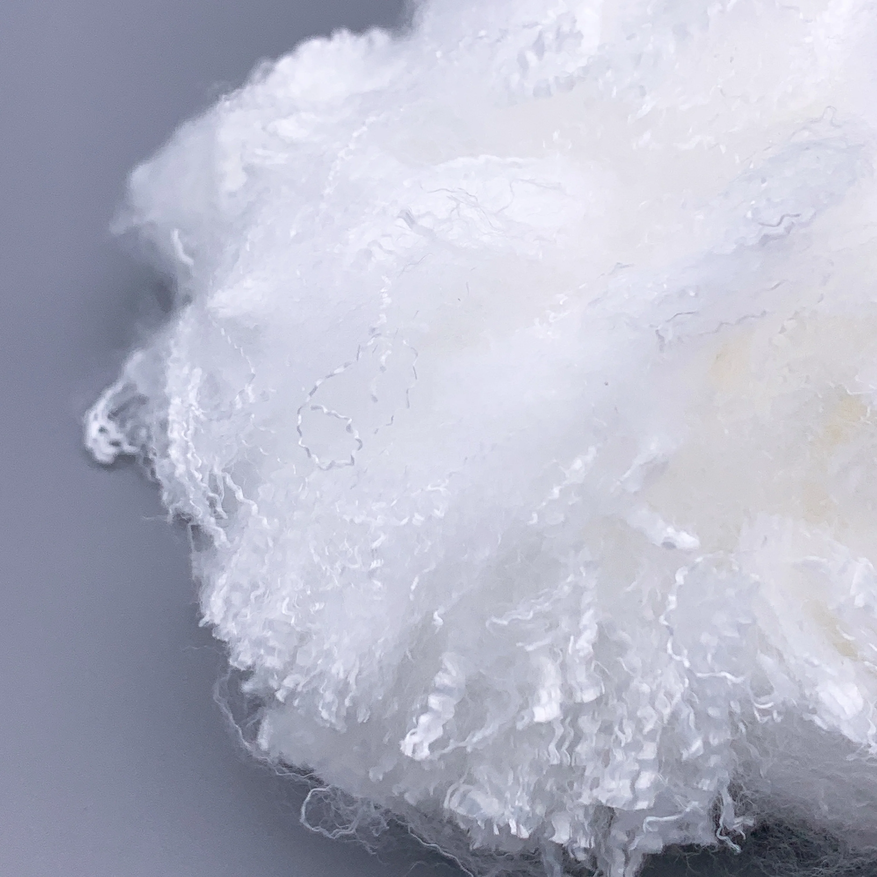 PE/PET low melt fiber