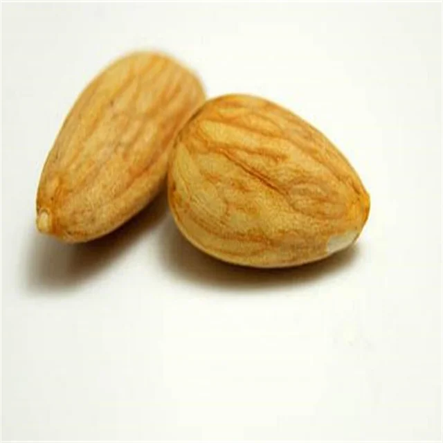 American Almond Nuts Price / Almond Kernel / Almond Wholesale NP25-27